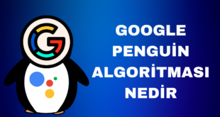 Google Penguin Algoritması nedir
