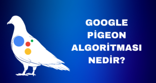 Google Pigeon Algoritması nedir