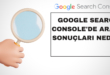 Google Search Console'de Arama Sonuçları nedir