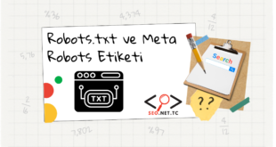 Robots.txt ve Meta Robots Etiketi