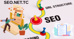 seo blog yazilari